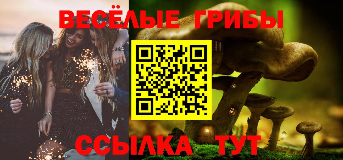 Королёв  Галлюциногенные грибы ЛСД  Вход с VPN  Галлюциногенные грибы Psilocybe 