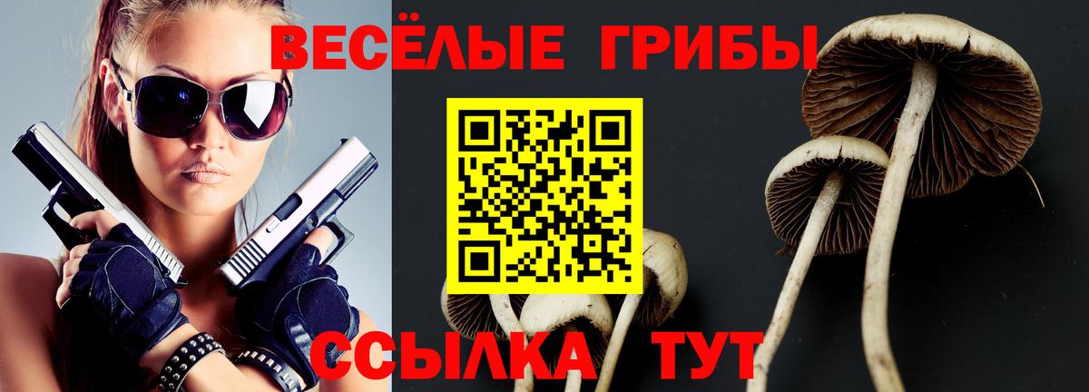 Псилоцибиновые грибы Psilocybine cubensis Королёв